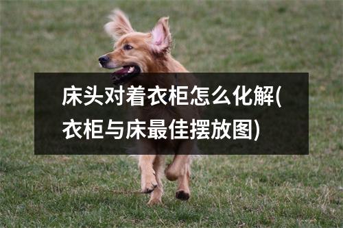 床头对着衣柜怎么化解(衣柜与床佳摆放图)