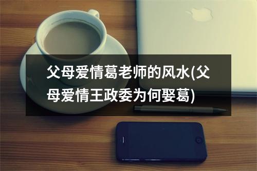 父母爱情葛老师的风水(父母爱情王政委为何娶葛)