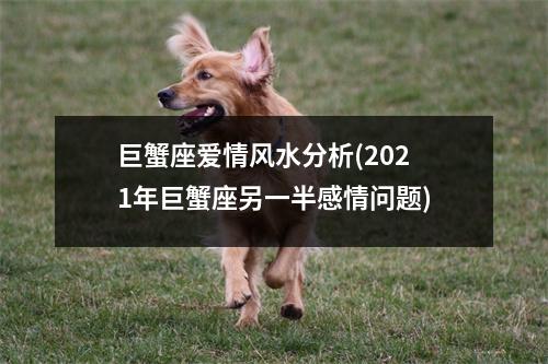 巨蟹座爱情风水分析(2021年巨蟹座另一半感情问题)