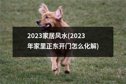 2023家居风水(2023年家里正东开门怎么化解)