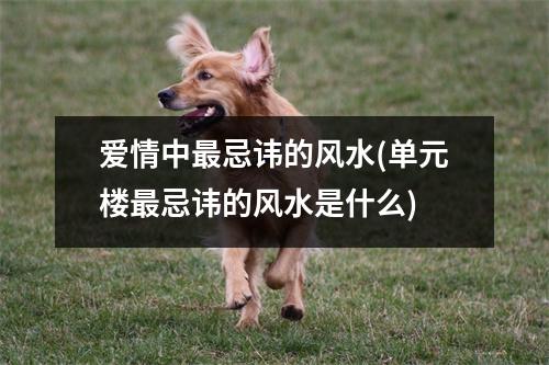 爱情中忌讳的风水(单元楼忌讳的风水是什么)