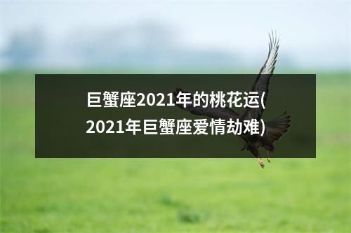 巨蟹座2021年的桃花运(2021年巨蟹座爱情劫难)