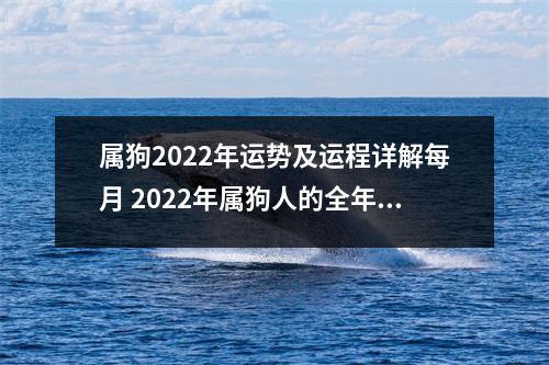 属狗2022年运势及运程详解每月 2022年属狗人的全年运势女性男性