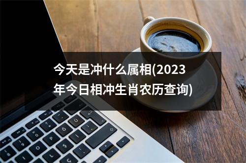 今天是冲什么属相(2023年今日相冲生肖农历查询)