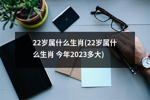 22岁属什么生肖(22岁属什么生肖 今年2023多大)