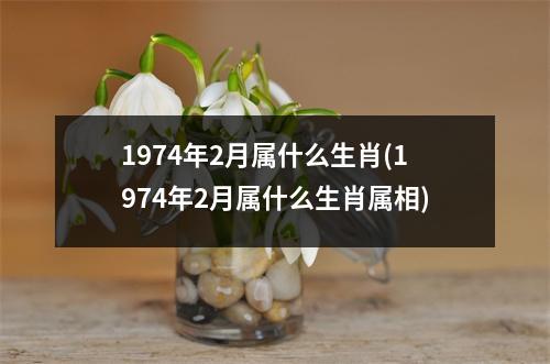 1974年2月属什么生肖(1974年2月属什么生肖属相)