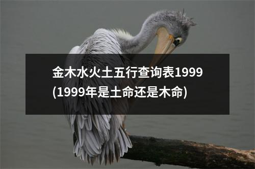 金木水火土五行查询表1999(1999年是土命还是木命)