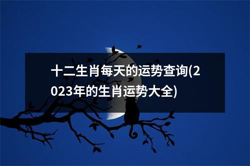 十二生肖每天的运势查询(2023年的生肖运势大全)