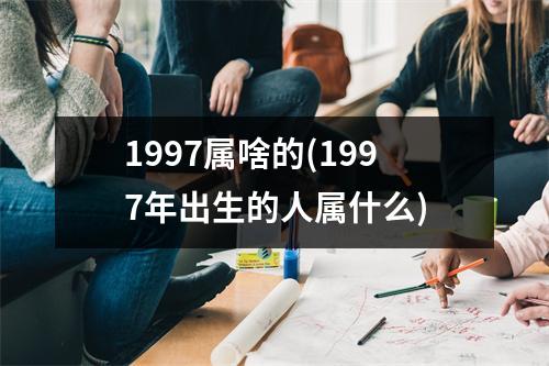 1997属啥的(1997年出生的人属什么)