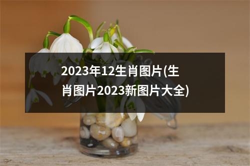 2023年12生肖图片(生肖图片2023新图片大全)