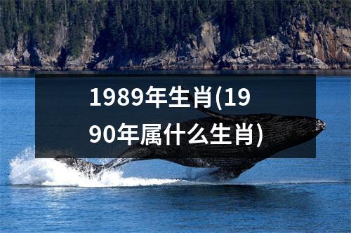 1989年生肖(1990年属什么生肖)