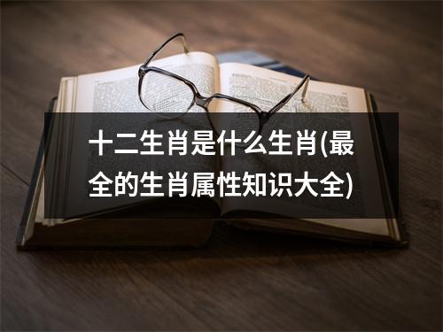 十二生肖是什么生肖(全的生肖属性知识大全)