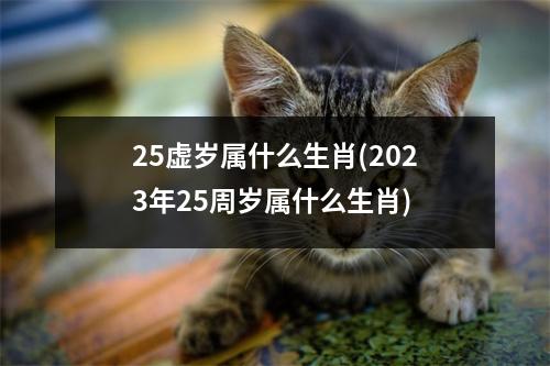 25虚岁属什么生肖(2023年25周岁属什么生肖)