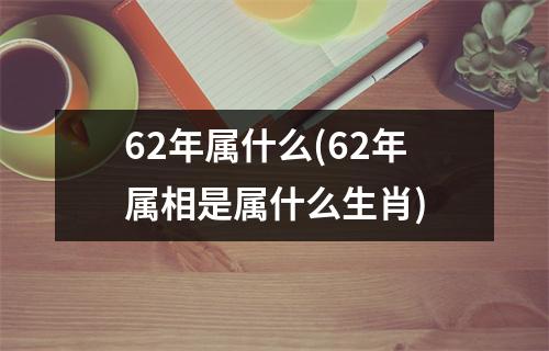 62年属什么(62年属相是属什么生肖)