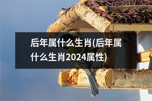 后年属什么生肖(后年属什么生肖2024属性)