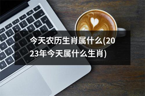 今天农历生肖属什么(2023年今天属什么生肖)