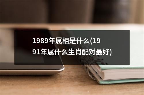 1989年属相是什么(1991年属什么生肖配对好)