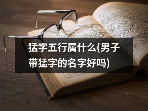 猛字五行属什么(男子带猛字的名字好吗)