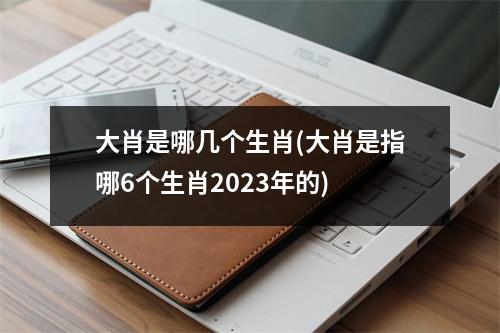 大肖是哪几个生肖(大肖是指哪6个生肖2023年的)