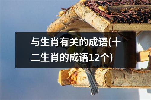 与生肖有关的成语(十二生肖的成语12个)