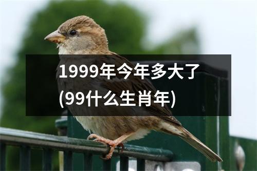 1999年今年多大了(99什么生肖年)