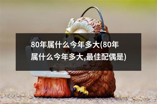 80年属什么今年多大(80年属什么今年多大,佳配偶是)