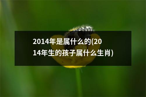 2014年是属什么的(2014年生的孩子属什么生肖)