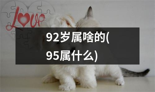 92岁属啥的(95属什么)