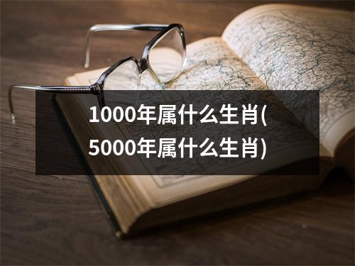 1000年属什么生肖(5000年属什么生肖)