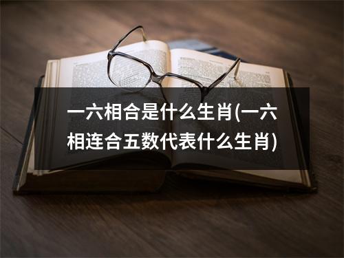 一六相合是什么生肖(一六相连合五数代表什么生肖)