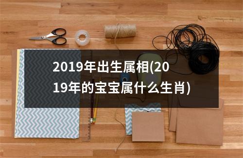 2019年出生属相(2019年的宝宝属什么生肖)