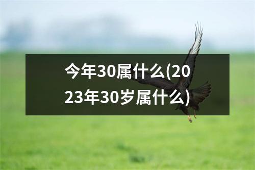 今年30属什么(2023年30岁属什么)