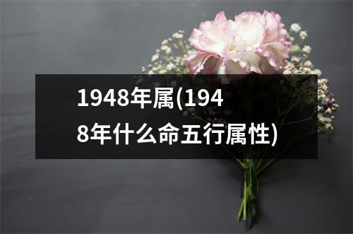 1948年属(1948年什么命五行属性)