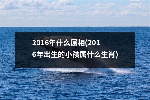 2016年什么属相(2016年出生的小孩属什么生肖)