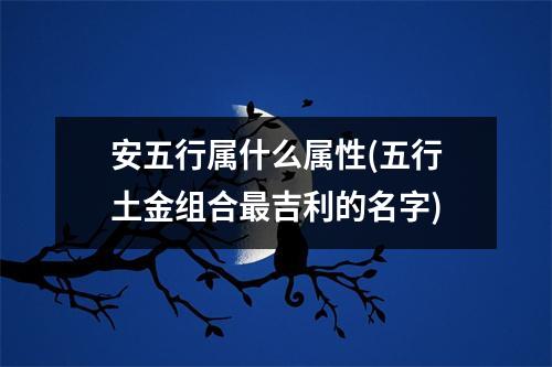 安五行属什么属性(五行土金组合吉利的名字)