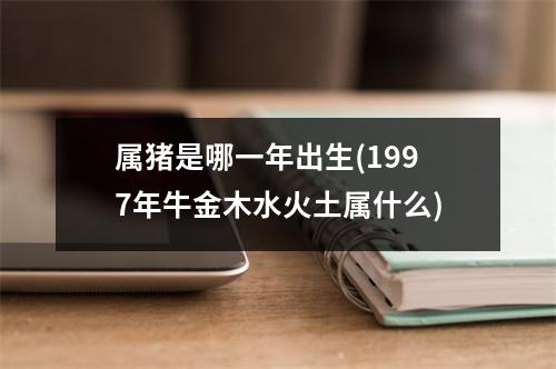 属猪是哪一年出生(1997年牛金木水火土属什么)