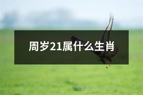 周岁21属什么生肖