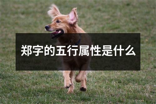 郑字的五行属性是什么