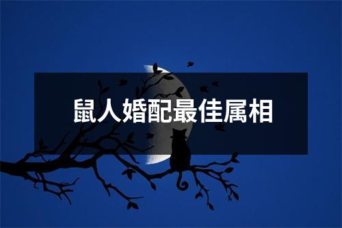 鼠人婚配最佳属相