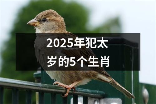 2025年犯太岁的5个生肖