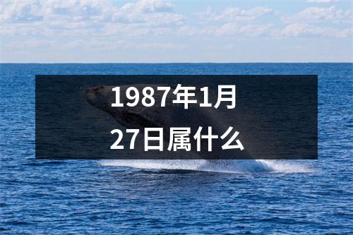 1987年1月27日属什么