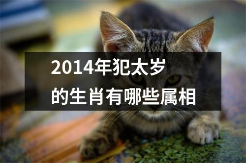 2014年犯太岁的生肖有哪些属相