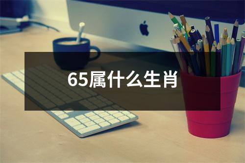 65属什么生肖