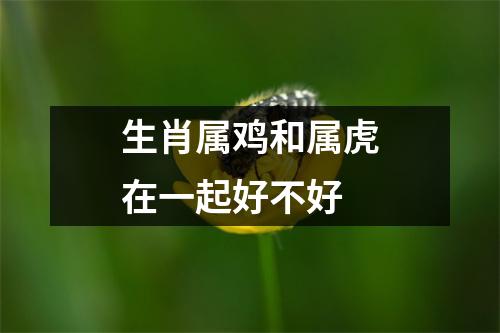 生肖属鸡和属虎在一起好不好