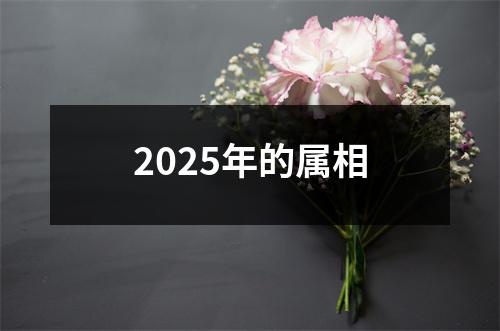 2025年的属相