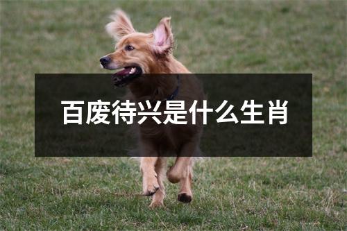 百废待兴是什么生肖