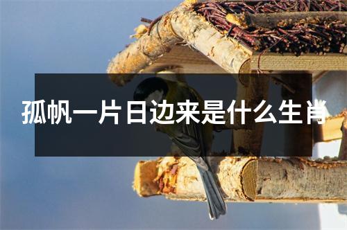 孤帆一片日边来是什么生肖