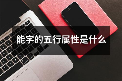 能字的五行属性是什么