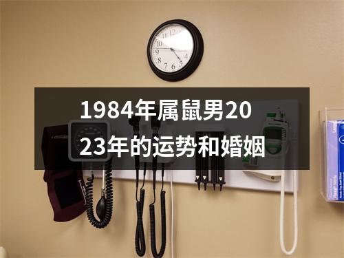 1984年属鼠男2023年的运势和婚姻