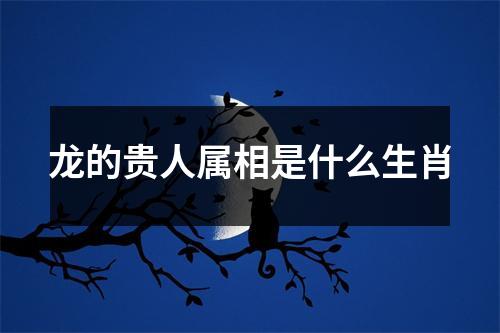 龙的贵人属相是什么生肖